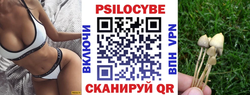 Псилоцибиновые грибы мицелий  где купить наркотик  Калач-на-Дону 